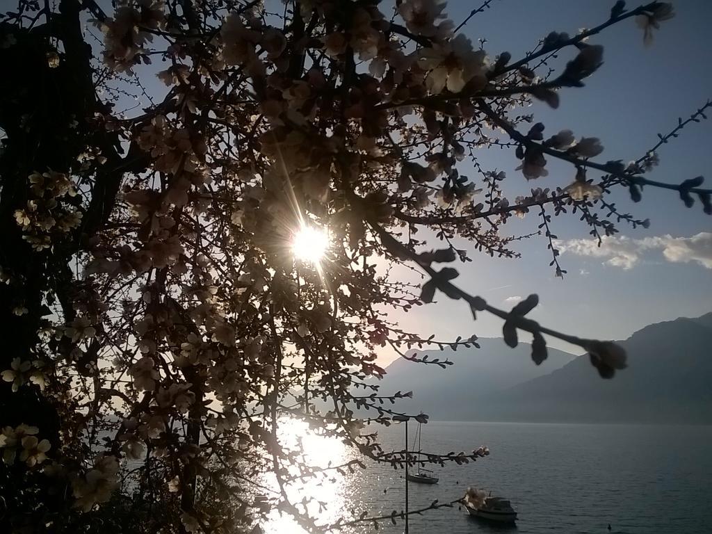 B&B Casa Sartori Malcesine Luaran gambar