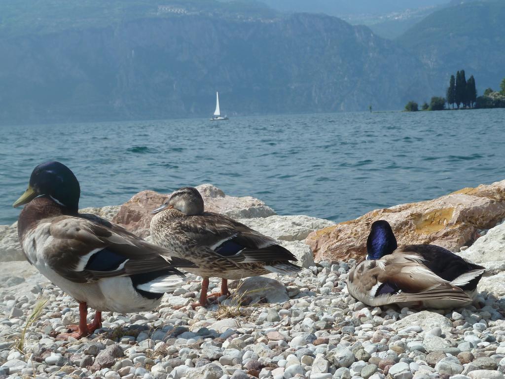 B&B Casa Sartori Malcesine Luaran gambar