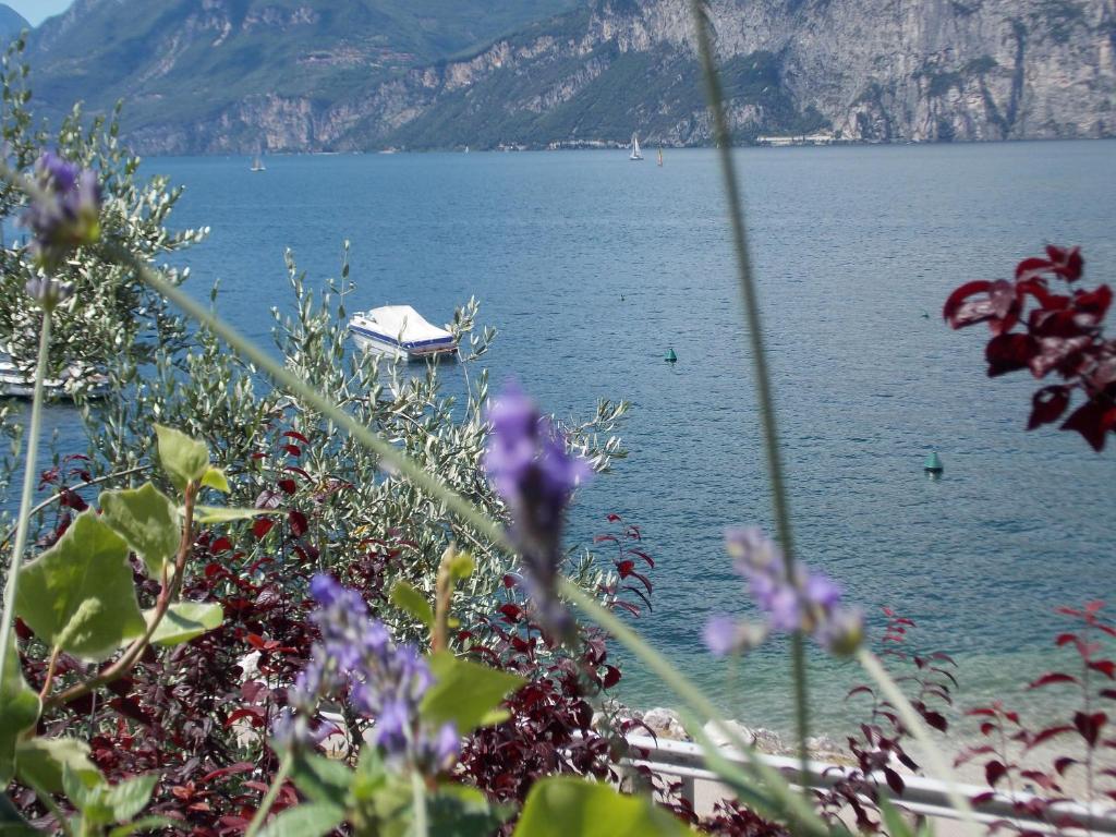 B&B Casa Sartori Malcesine Luaran gambar